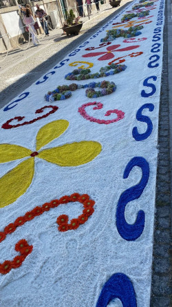 WhatsApp Image 2022-09-01 at 11.55.33 (1)